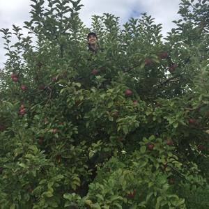 Meet your Posher, Kahler